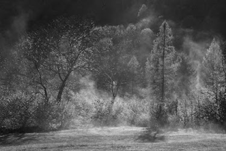 The Miracle We Still Need — Seeking the Sacred in our Uncertainty